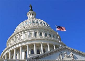 Members Request Congressional Support During 2023 AMSN Virtual Hill Day