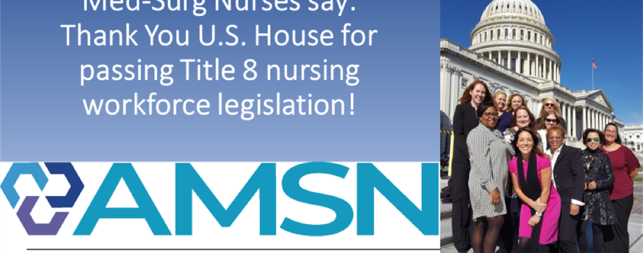 AMSN Legislative Brief October 2019