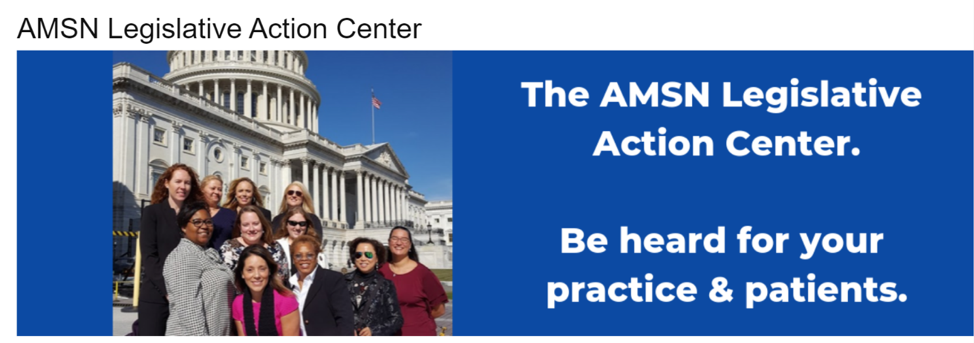 AMSN Legislative Brief January  2019